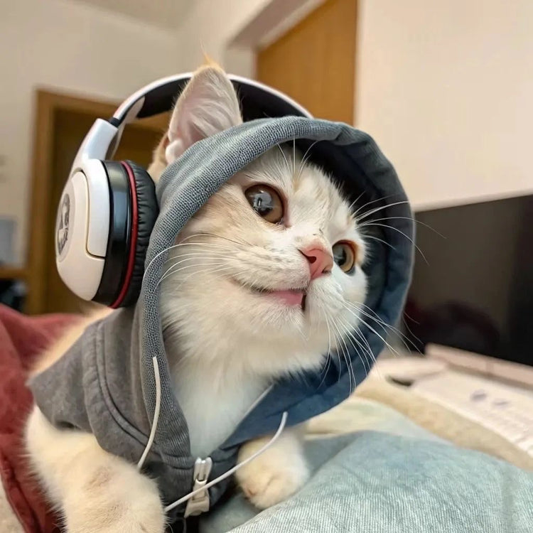Pet Tech
