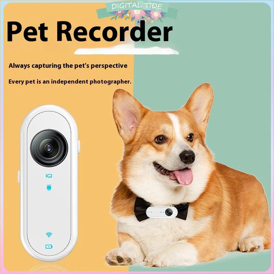 Cat & Dog Camera Collar – 🎥 HD 1080P Wi-Fi 💾 32G Card | USB Rechargeable  Pet Cam Gift