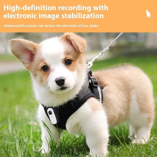 Cat & Dog Camera Collar – 🎥 HD 1080P Wi-Fi 💾 32G Card | USB Rechargeable  Pet Cam Gift