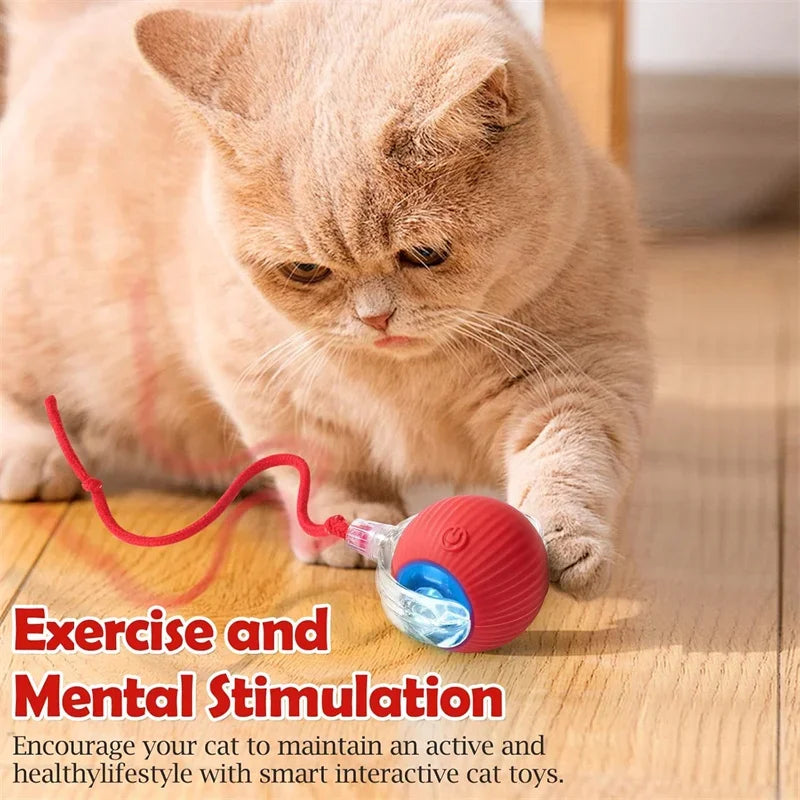 🐱 Smart Interactive Cat Toy Ball –  Motion Activated 🎮 Hide & Seek Fun   Indoor Play