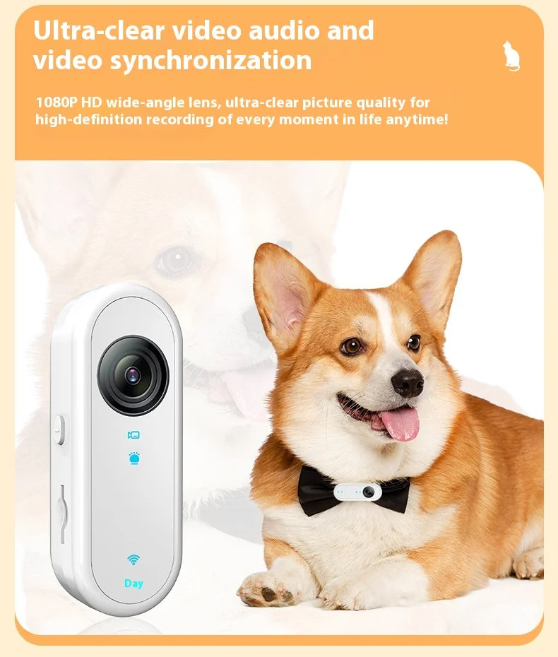 Cat & Dog Camera Collar – 🎥 HD 1080P Wi-Fi 💾 32G Card | USB Rechargeable  Pet Cam Gift