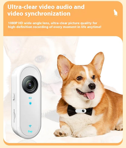 Cat & Dog Camera Collar – 🎥 HD 1080P Wi-Fi 💾 32G Card | USB Rechargeable  Pet Cam Gift