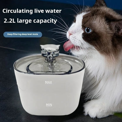 🐶🐱 Smart Pet Water Fountain – 💧 2.2L Large Capacity  🔇 Silent Circulation | Automatic Dispenser