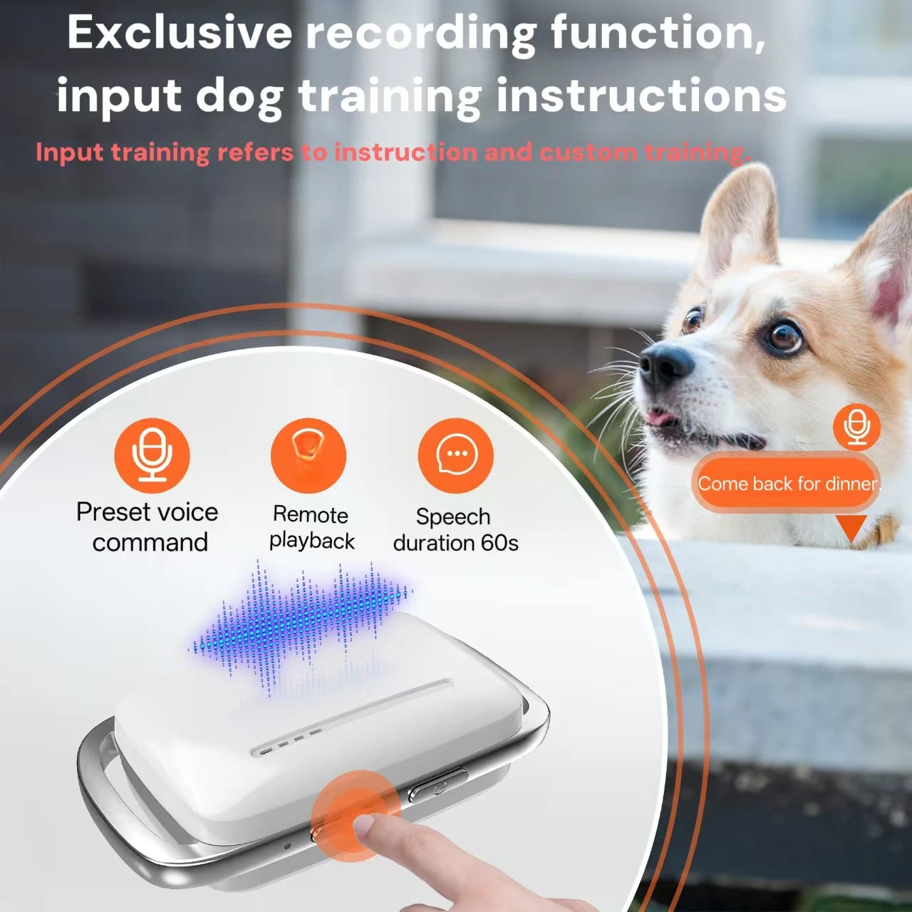 🐶 Smart Dog Trainer  📡 Remote Control  🎙️ Voice Record  Waterproof  Rechargeable