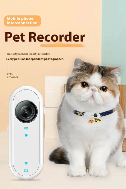 Cat & Dog Camera Collar – 🎥 HD 1080P Wi-Fi 💾 32G Card | USB Rechargeable  Pet Cam Gift