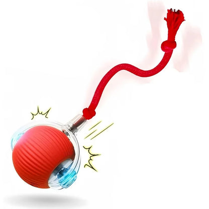 🐱 Smart Interactive Cat Toy Ball –  Motion Activated 🎮 Hide & Seek Fun   Indoor Play