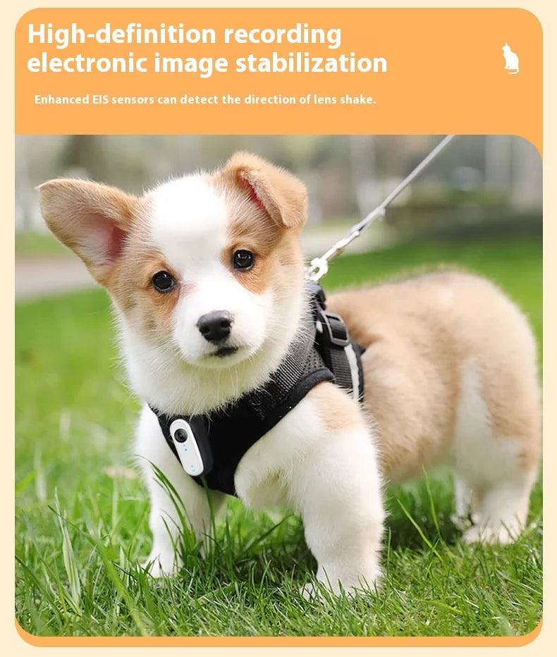 Cat & Dog Camera Collar – 🎥 HD 1080P Wi-Fi 💾 32G Card | USB Rechargeable  Pet Cam Gift