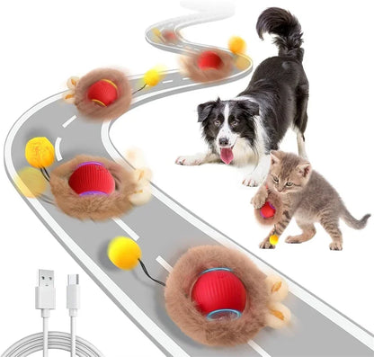 🐱 Smart Interactive Cat Toy Ball –  Motion Activated 🎮 Hide & Seek Fun   Indoor Play