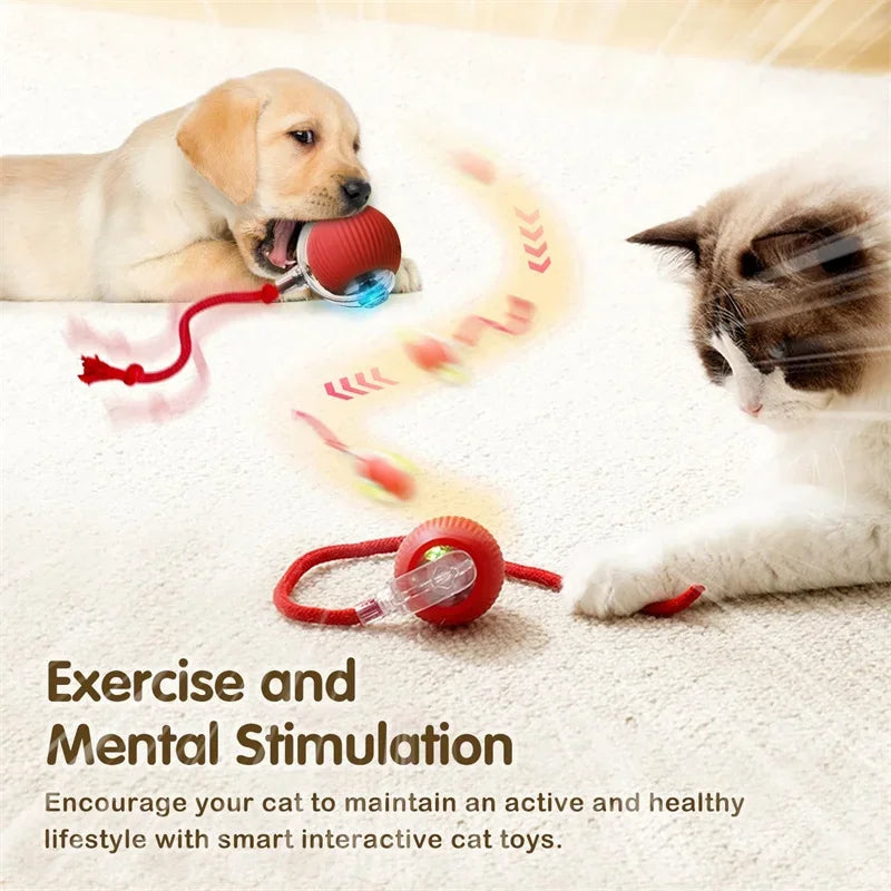 🐱 Smart Interactive Cat Toy Ball –  Motion Activated 🎮 Hide & Seek Fun   Indoor Play