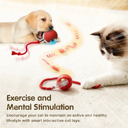 🐱 Smart Interactive Cat Toy Ball –  Motion Activated 🎮 Hide & Seek Fun   Indoor Play