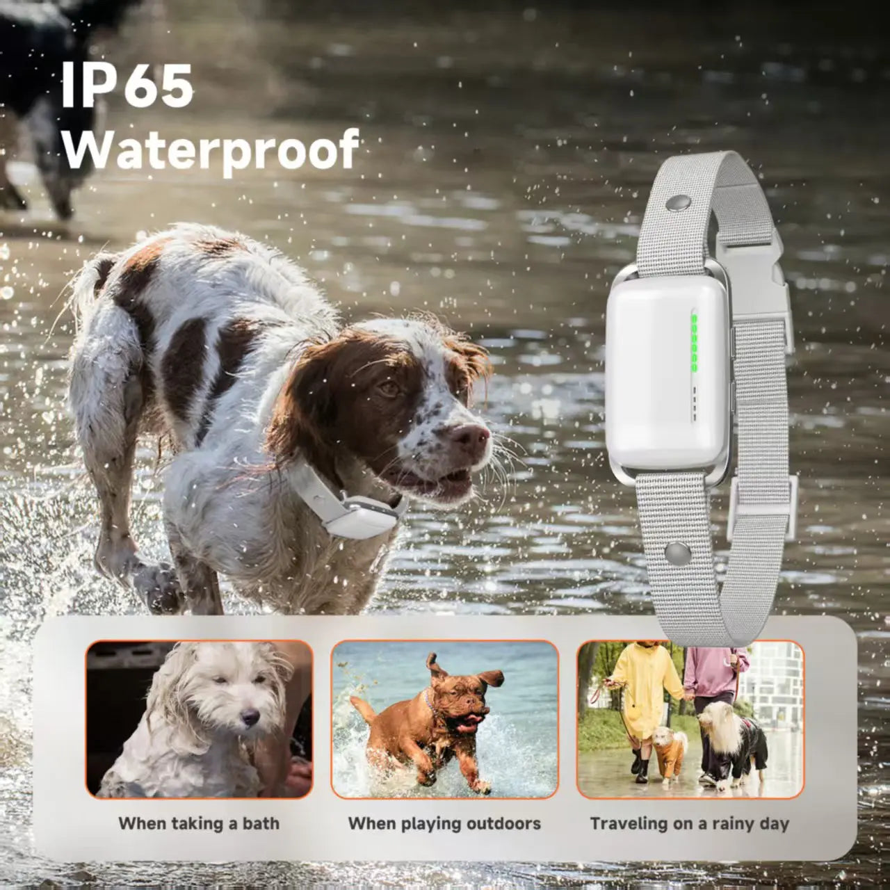 🐶 Smart Dog Trainer  📡 Remote Control  🎙️ Voice Record  Waterproof  Rechargeable