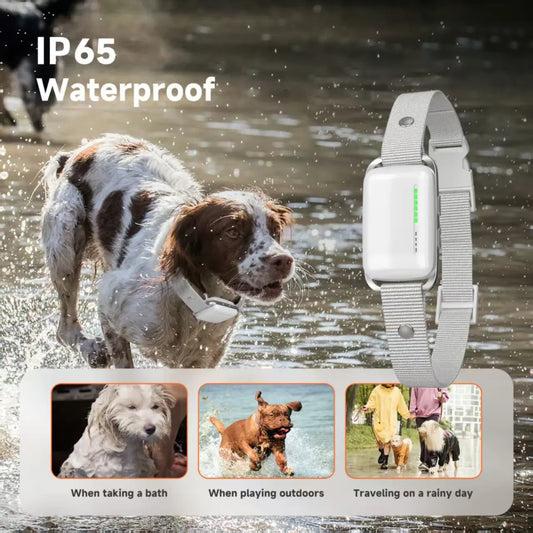 🐶 Smart Dog Trainer  📡 Remote Control  🎙️ Voice Record  Waterproof  Rechargeable