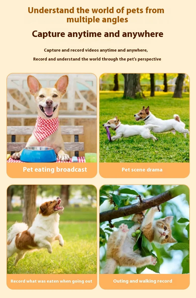 Cat & Dog Camera Collar – 🎥 HD 1080P Wi-Fi 💾 32G Card | USB Rechargeable  Pet Cam Gift