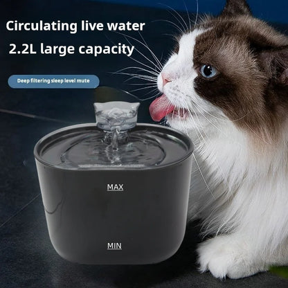 🐶🐱 Smart Pet Water Fountain – 💧 2.2L Large Capacity  🔇 Silent Circulation | Automatic Dispenser
