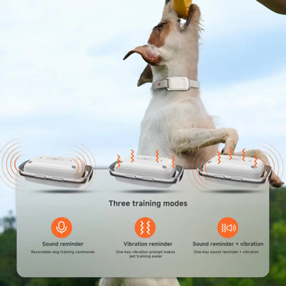 🐶 Smart Dog Trainer  📡 Remote Control  🎙️ Voice Record  Waterproof  Rechargeable