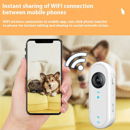 Cat & Dog Camera Collar – 🎥 HD 1080P Wi-Fi 💾 32G Card | USB Rechargeable  Pet Cam Gift