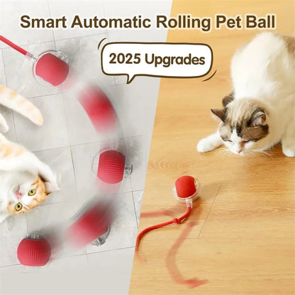 🐱 Smart Interactive Cat Toy Ball –  Motion Activated 🎮 Hide & Seek Fun   Indoor Play