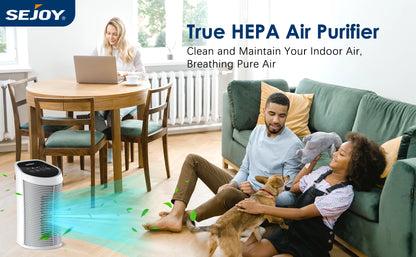🌬️ Sejoy Air Purifier | HEPA Filter | Ionizer | 3-Speed Quiet Cleaner for Bedroom & Pets