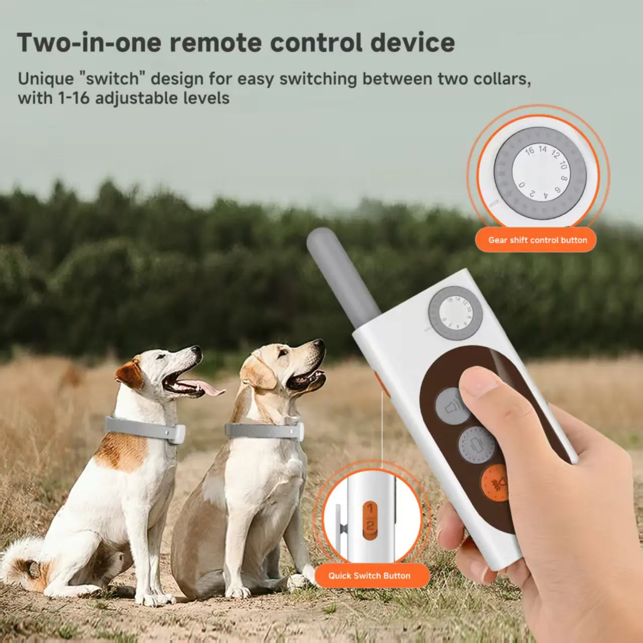 🐶 Smart Dog Trainer  📡 Remote Control  🎙️ Voice Record  Waterproof  Rechargeable