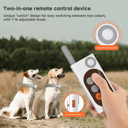 🐶 Smart Dog Trainer  📡 Remote Control  🎙️ Voice Record  Waterproof  Rechargeable