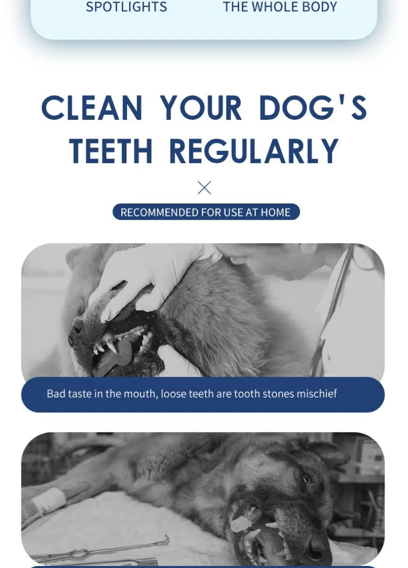🐶🐱 Portable Pet Dental Cleaner – ⚡ Electric USB | 🦷 Teeth & Oral Care
