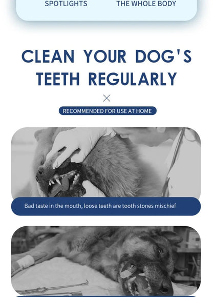 🐶🐱 Portable Pet Dental Cleaner – ⚡ Electric USB | 🦷 Teeth & Oral Care