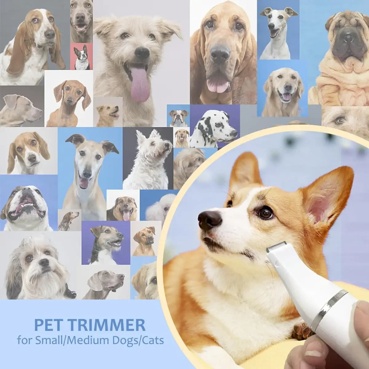🐶🐱 Pet Grooming Kit  Low Noise Clippers Rechargeable  Nail Grinder