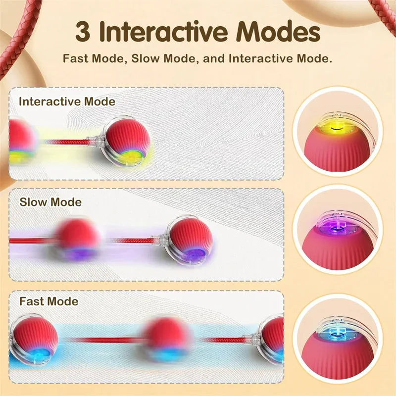 🐱 Smart Interactive Cat Toy Ball –  Motion Activated 🎮 Hide & Seek Fun   Indoor Play